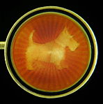 Art Deco Scottish terrier cufflinks. (J9411)